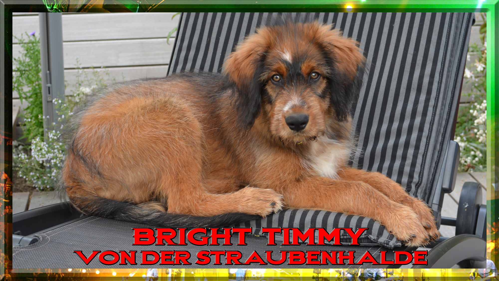 Wäller von der Straubenhalde